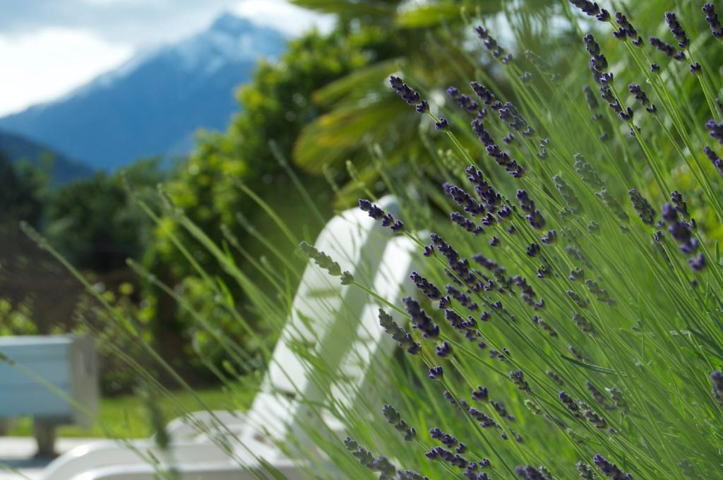Hotel Schonbrunn Merano
